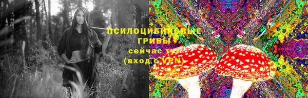 мдпв Навашино