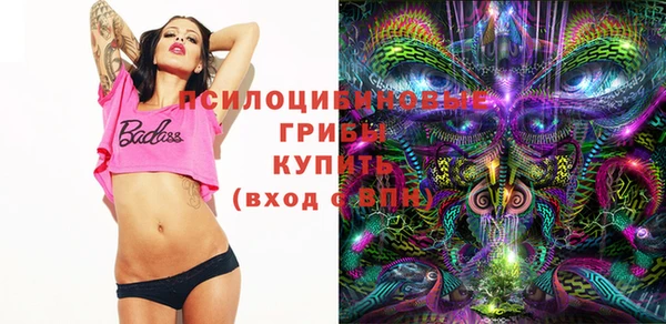 мдпв Навашино