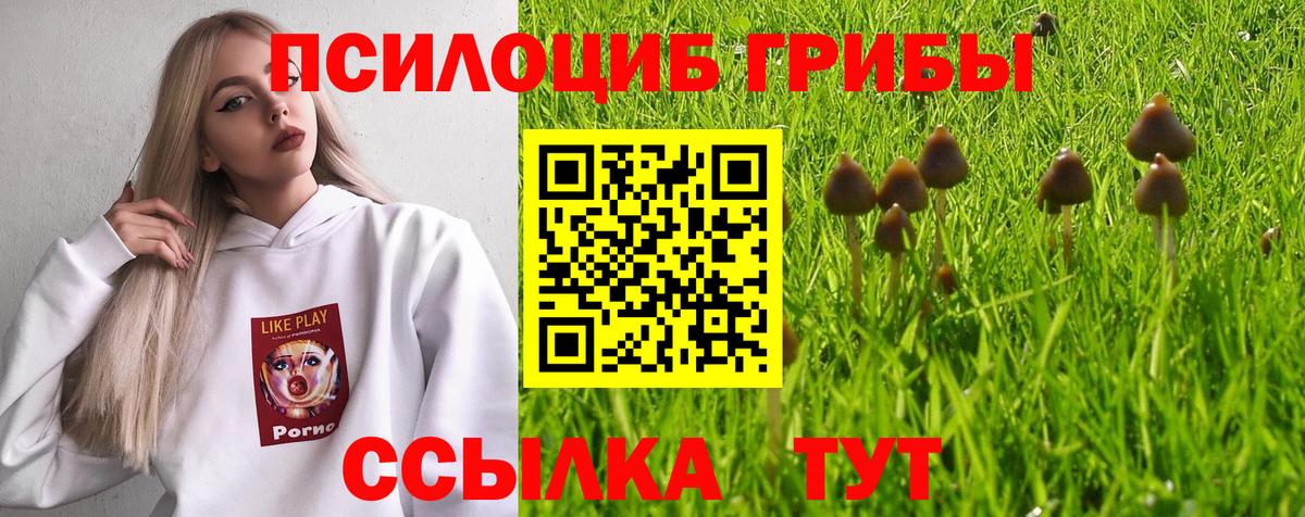 Псилоцибиновые грибы мицелий  Галлюциногенные грибы Psilocybine cubensis  Кстово  Вход с VPN 