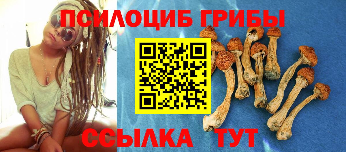Галлюциногенные грибы Cubensis Кстово